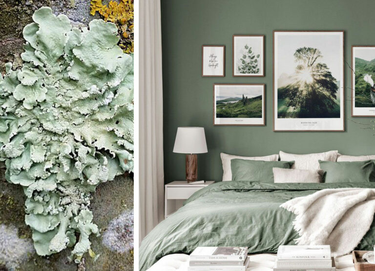 Chambre avec un mur vert lichen