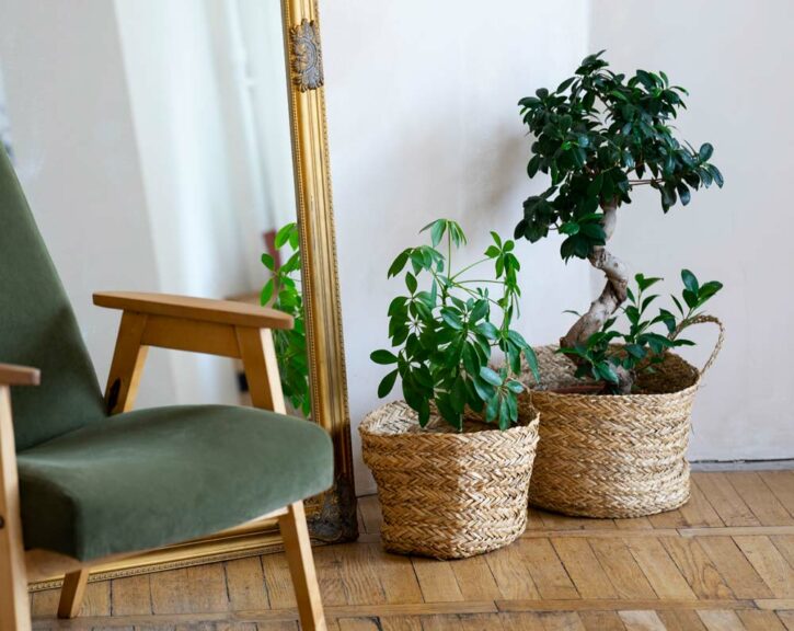 Détail d'un intérieur. Miroir, fauteuil et plantes